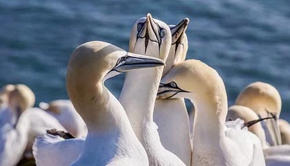 林诗栋/蒯曼3-1沙/奇塔莱 WTT总决赛小组赛2胜1负